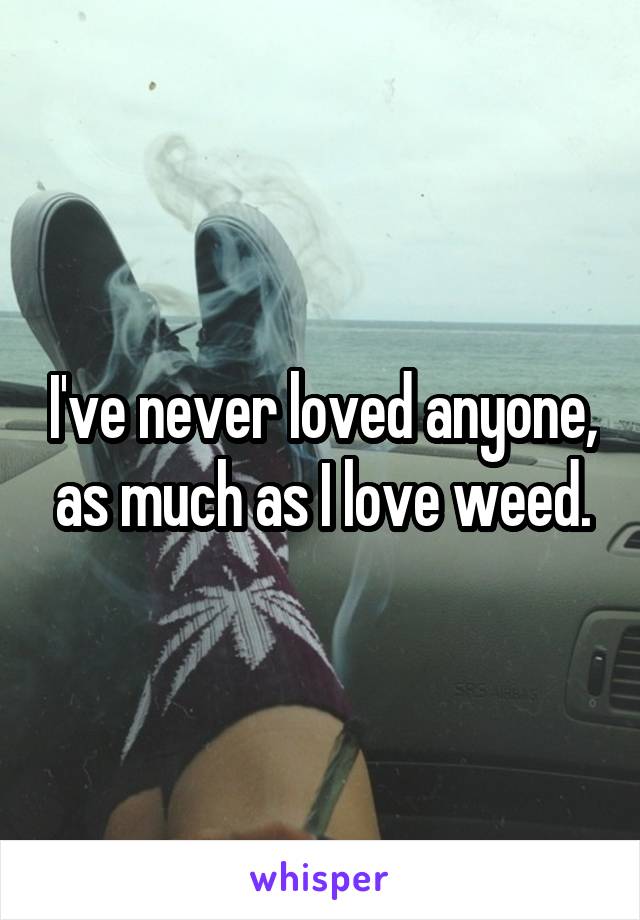 I've never loved anyone, as much as I love weed.