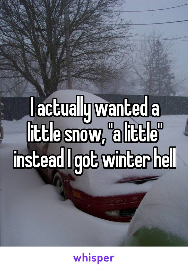 I actually wanted a little snow, "a little" instead I got winter hell