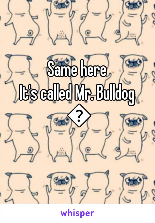 Same here
It's called Mr. Bulldog 🐶