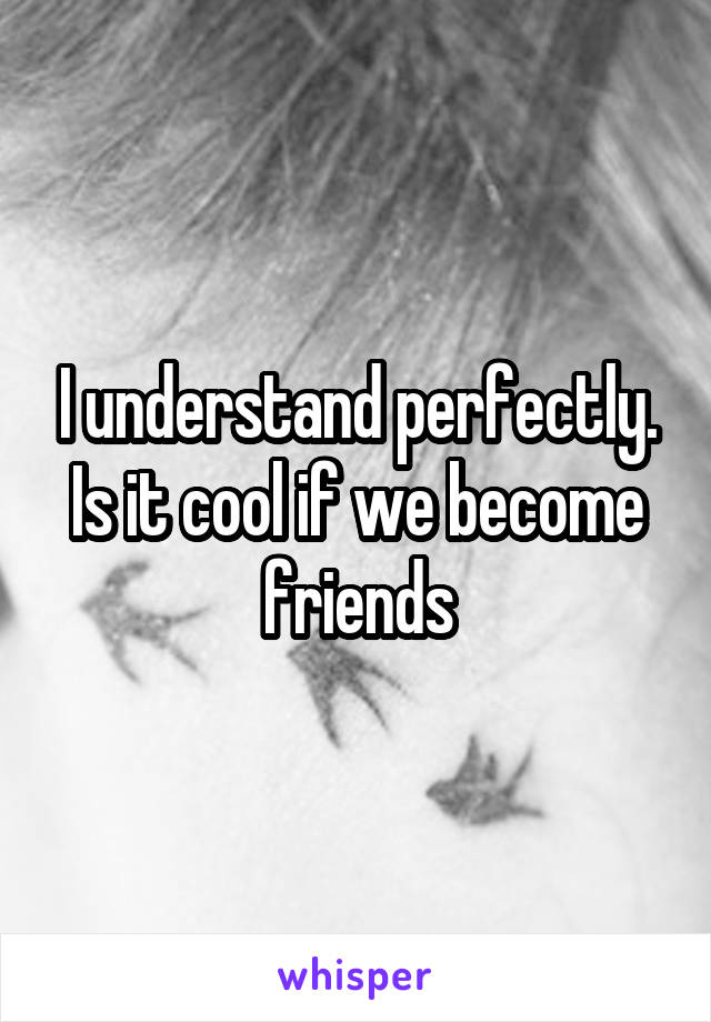 I understand perfectly. Is it cool if we become friends