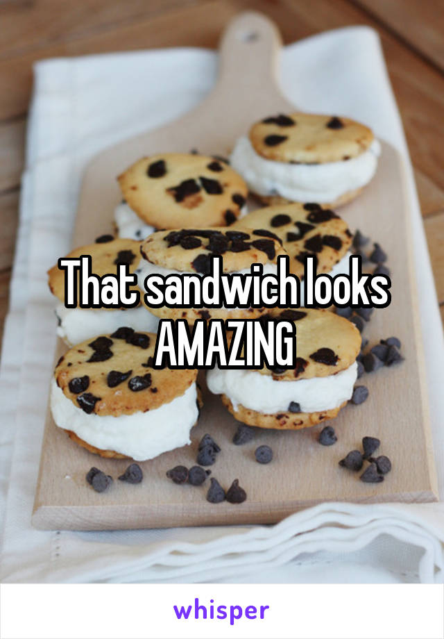 That sandwich looks AMAZING