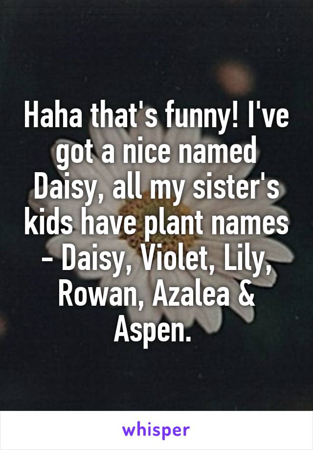 Haha that's funny! I've got a nice named Daisy, all my sister's kids have plant names - Daisy, Violet, Lily, Rowan, Azalea & Aspen. 