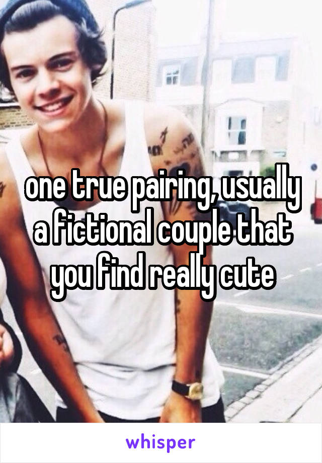 one true pairing, usually a fictional couple that you find really cute