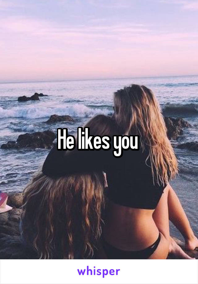 He likes you 