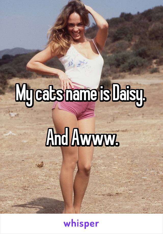 My cats name is Daisy. 

And Awww.