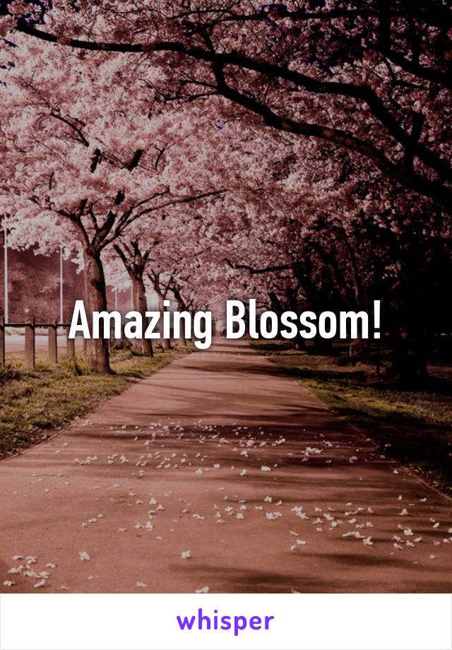 Amazing Blossom!