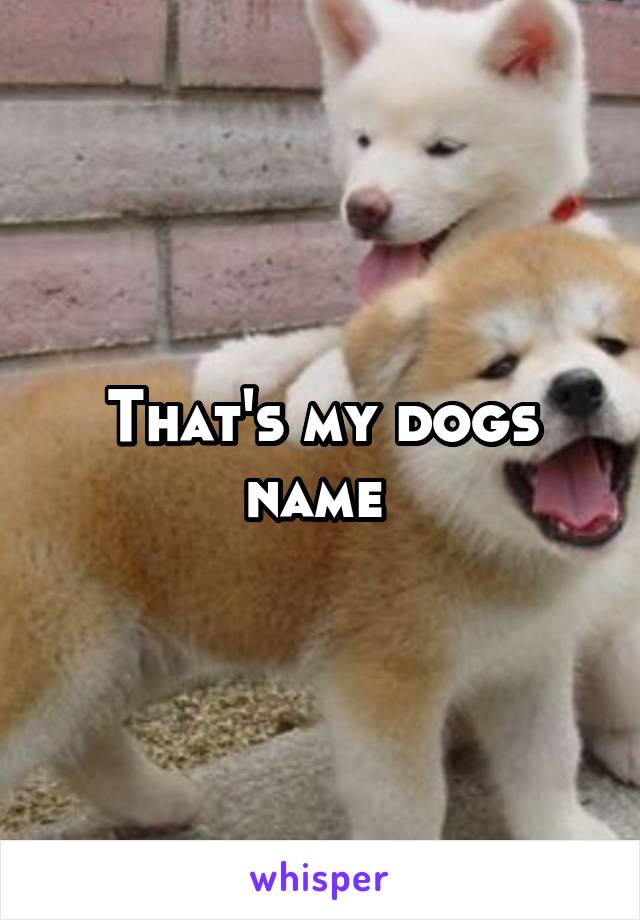 That's my dogs name 