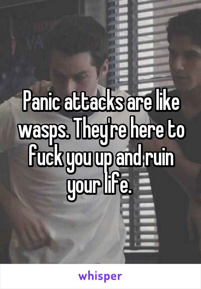 Panic attacks are like wasps. They're here to fuck you up and ruin your life. 