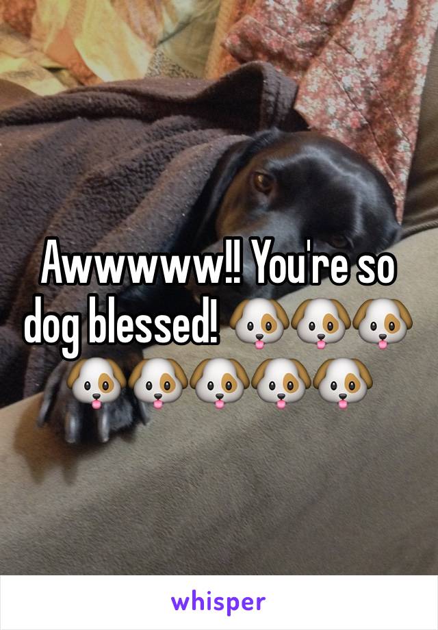 Awwwww!! You're so dog blessed! 🐶🐶🐶🐶🐶🐶🐶🐶