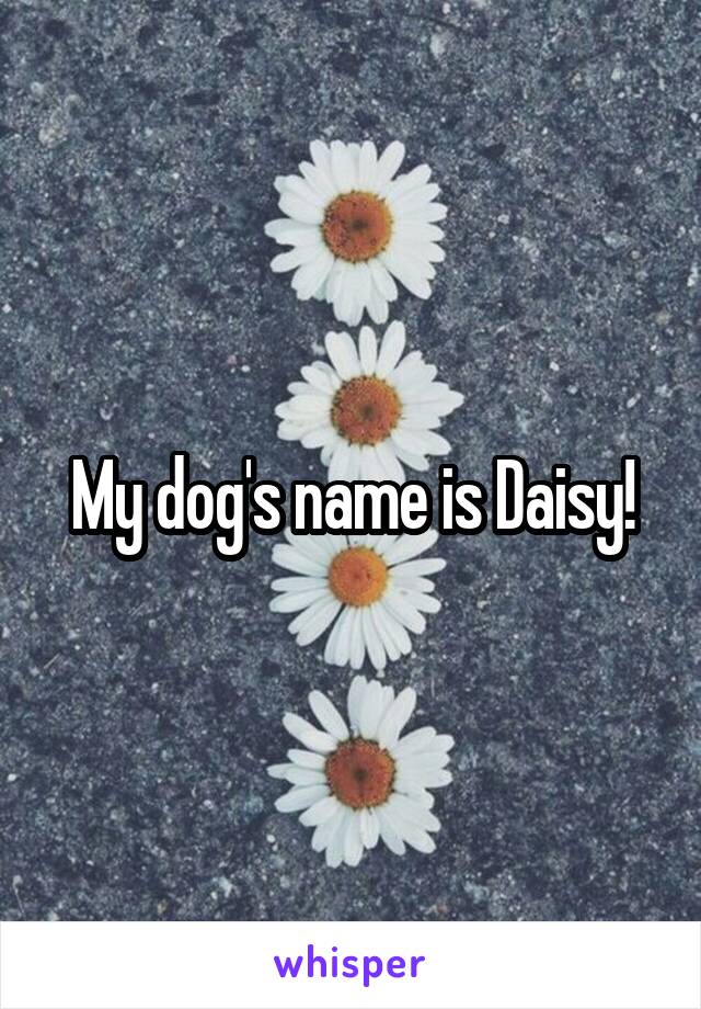 My dog's name is Daisy!