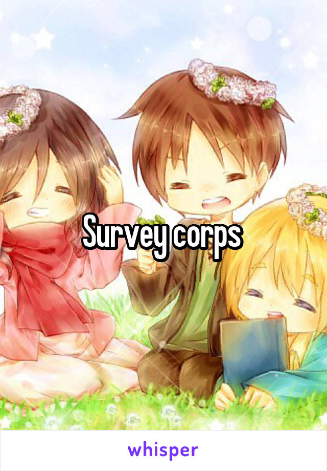 Survey corps 
