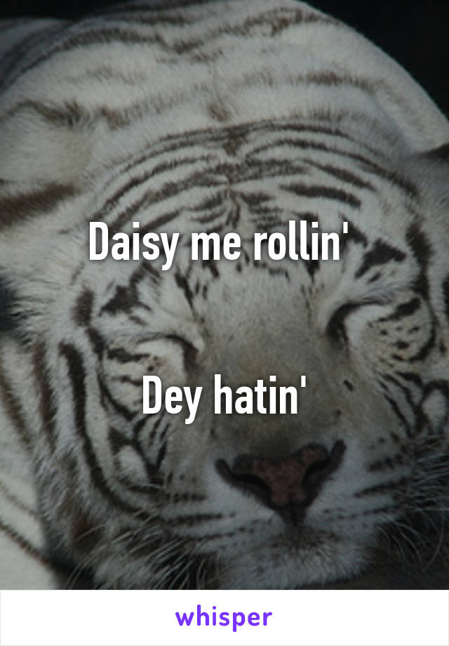 Daisy me rollin' 


Dey hatin'