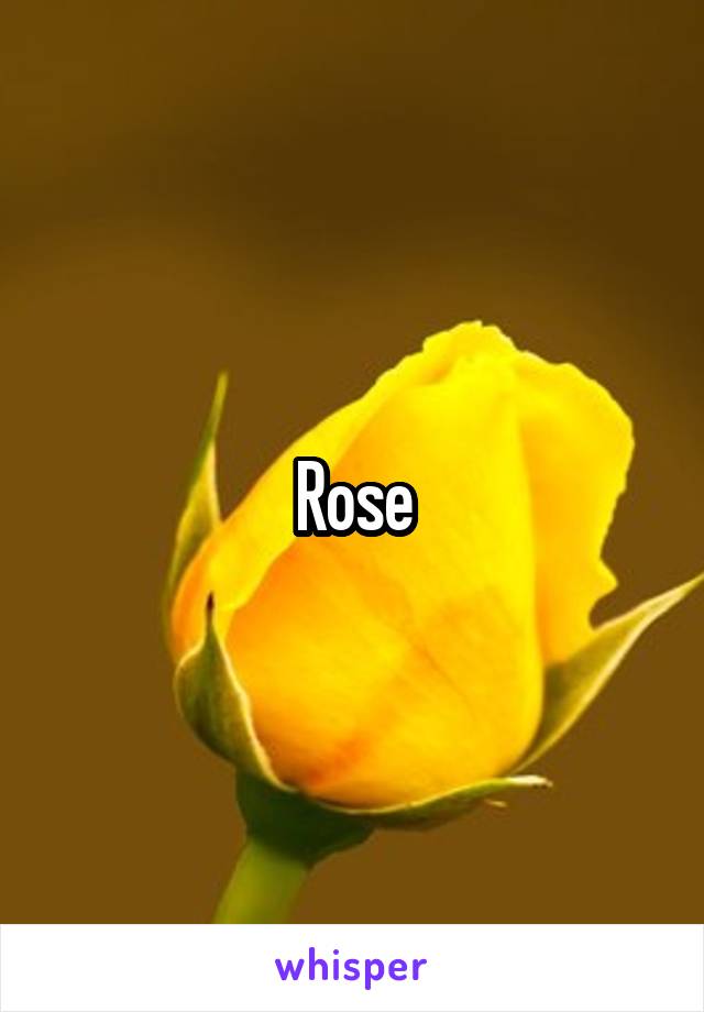 Rose