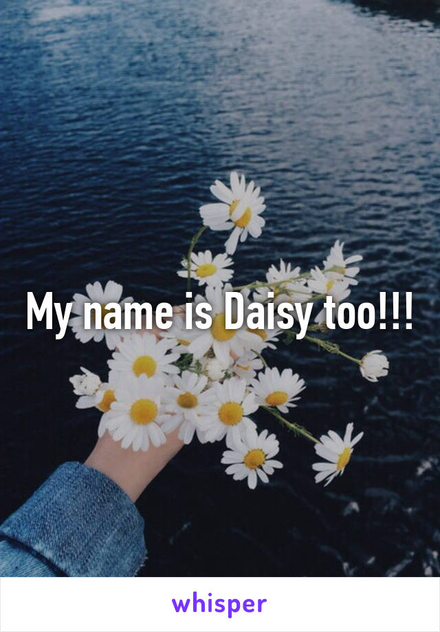 My name is Daisy too!!!