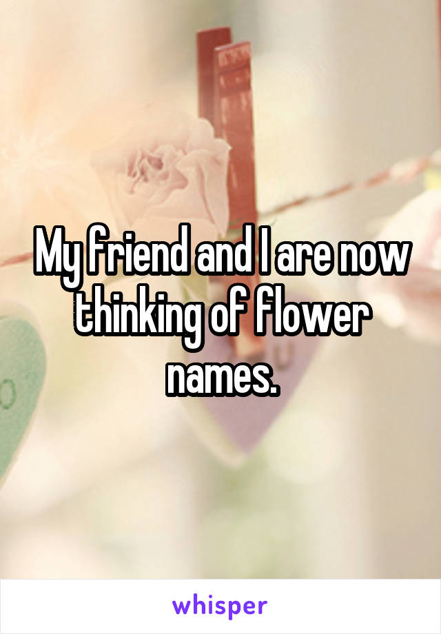 My friend and I are now thinking of flower names.