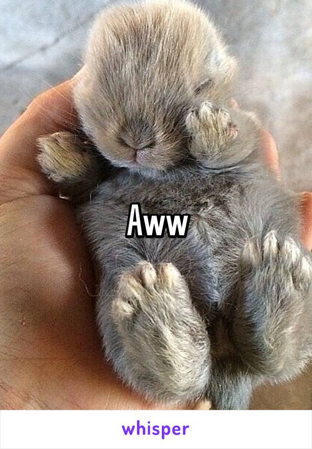 Aww