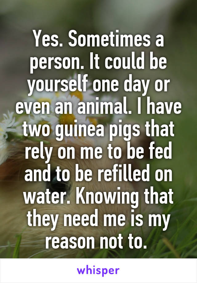 Yes. Sometimes a person. It could be yourself one day or even an animal. I have two guinea pigs that rely on me to be fed and to be refilled on water. Knowing that they need me is my reason not to. 