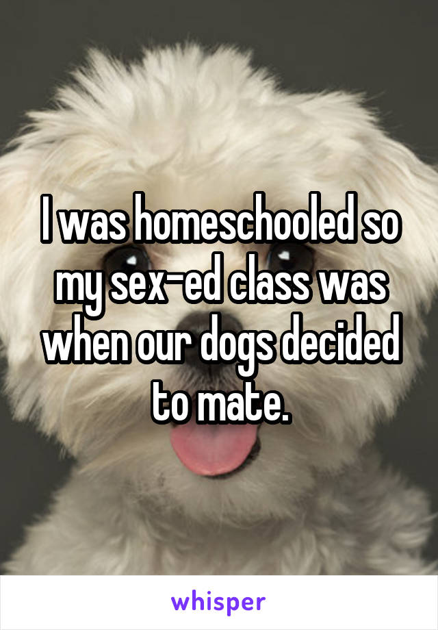 I was homeschooled so my sex-ed class was when our dogs decided to mate.
