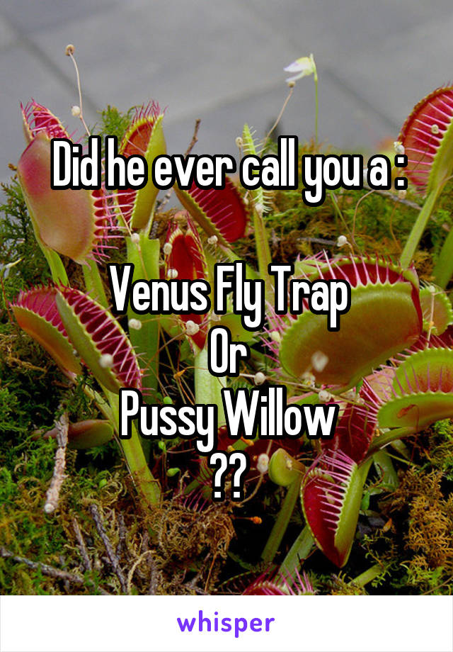 Did he ever call you a :

Venus Fly Trap
Or
Pussy Willow
??