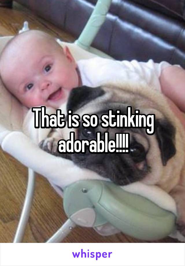 That is so stinking adorable!!!!