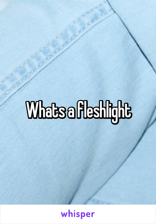 Whats a fleshlight