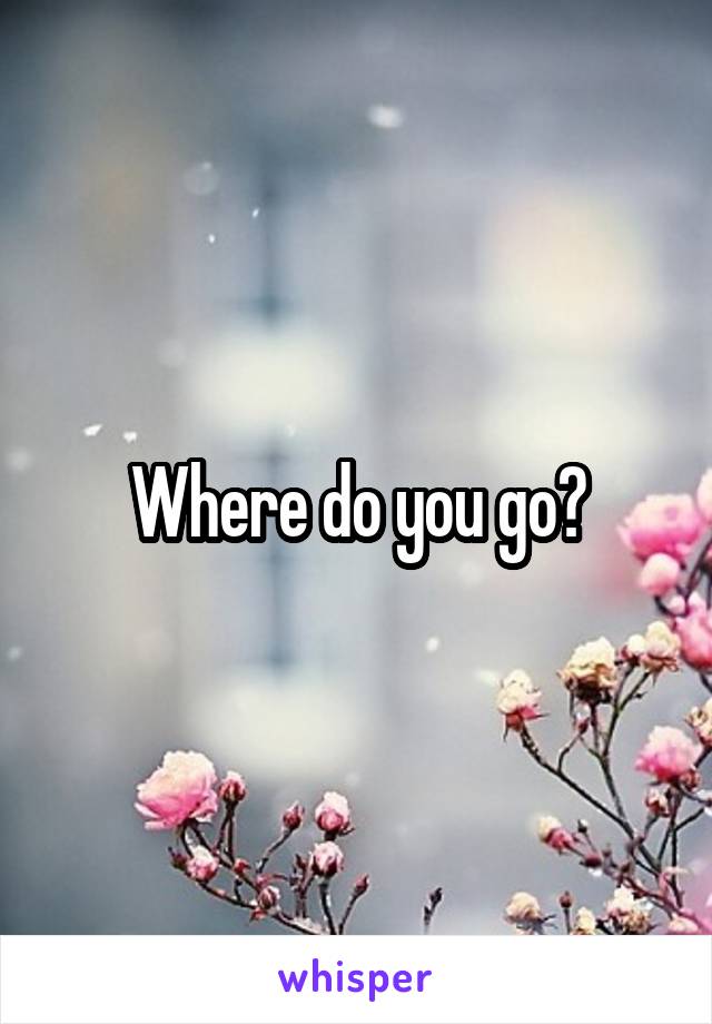 Where do you go?