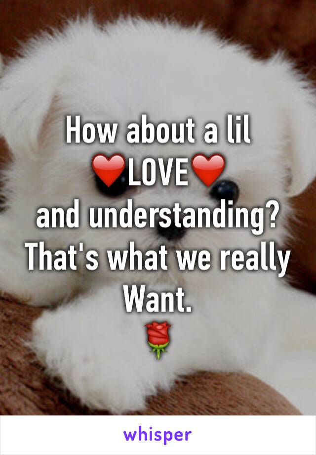 How about a lil 
❤️LOVE❤️
and understanding?
That's what we really
Want.
🌹