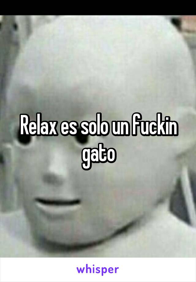 Relax es solo un fuckin gato