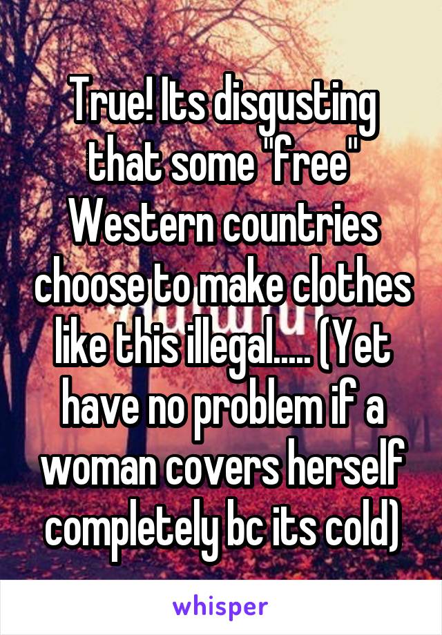 True! Its disgusting that some "free" Western countries choose to make clothes like this illegal..... (Yet have no problem if a woman covers herself completely bc its cold)