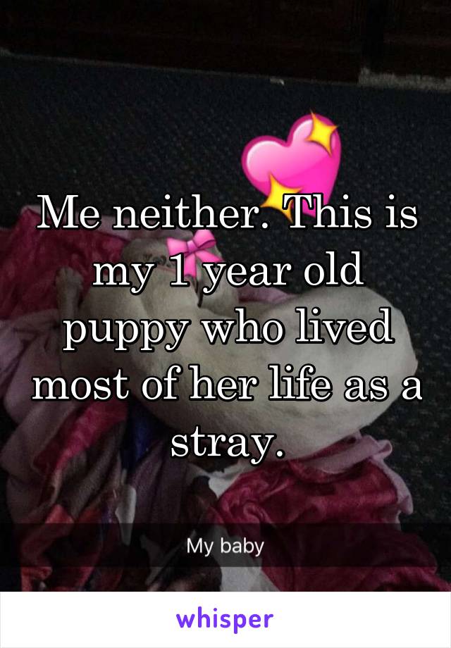 Me neither. This is my 1 year old puppy who lived most of her life as a stray.