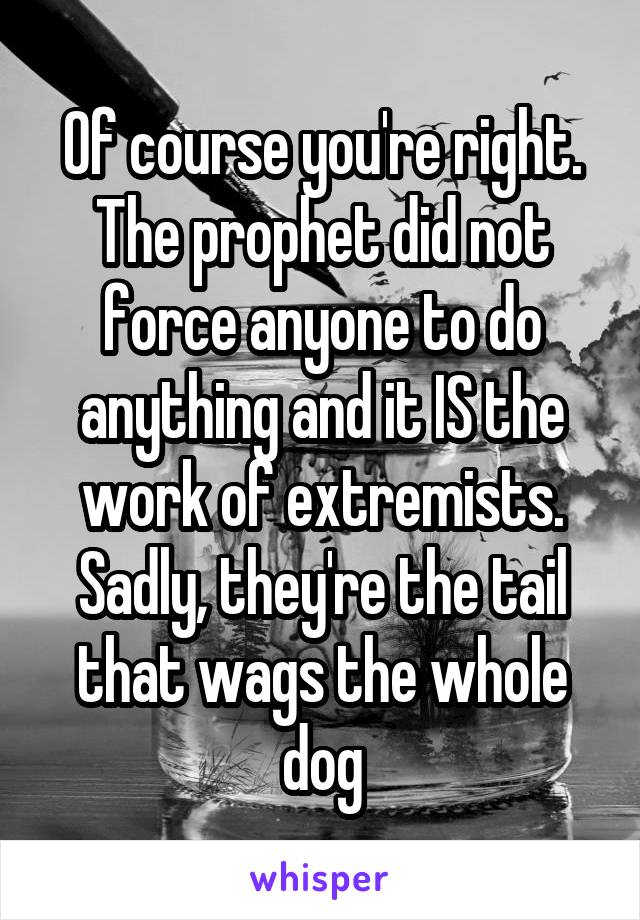 Of course you're right.
The prophet did not force anyone to do anything and it IS the work of extremists.
Sadly, they're the tail that wags the whole dog