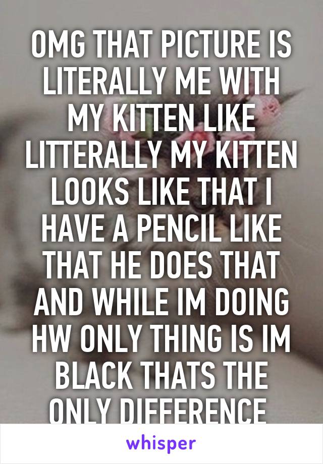 OMG THAT PICTURE IS LITERALLY ME WITH MY KITTEN LIKE LITTERALLY MY KITTEN LOOKS LIKE THAT I HAVE A PENCIL LIKE THAT HE DOES THAT AND WHILE IM DOING HW ONLY THING IS IM BLACK THATS THE ONLY DIFFERENCE 