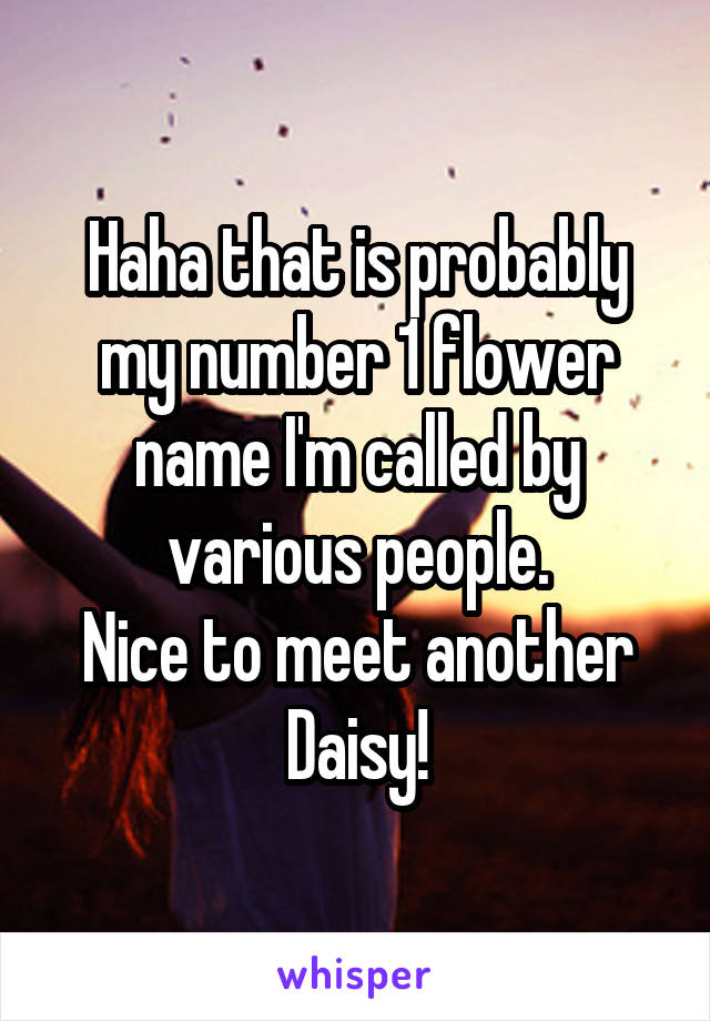 Haha that is probably my number 1 flower name I'm called by various people.
Nice to meet another Daisy!