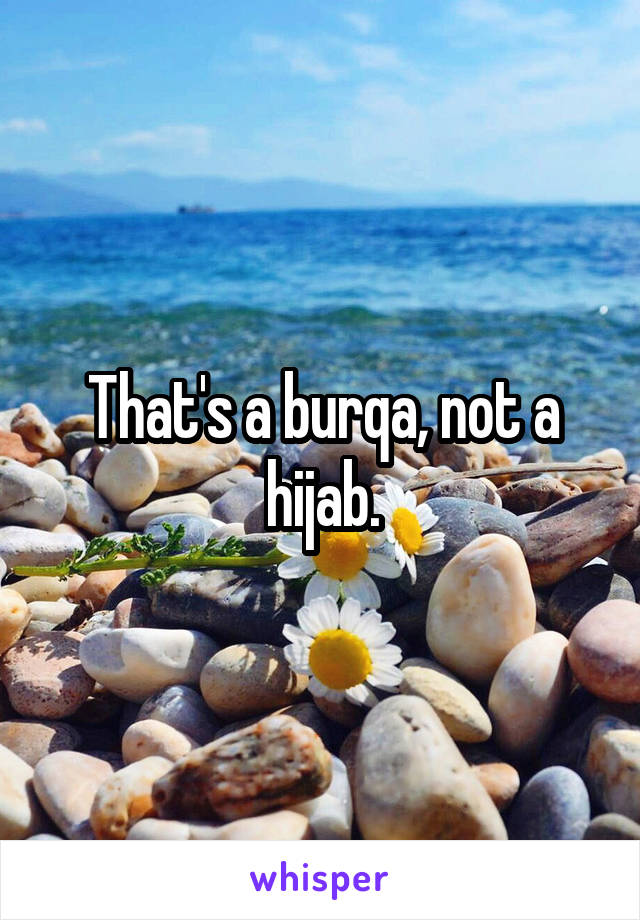 That's a burqa, not a hijab.