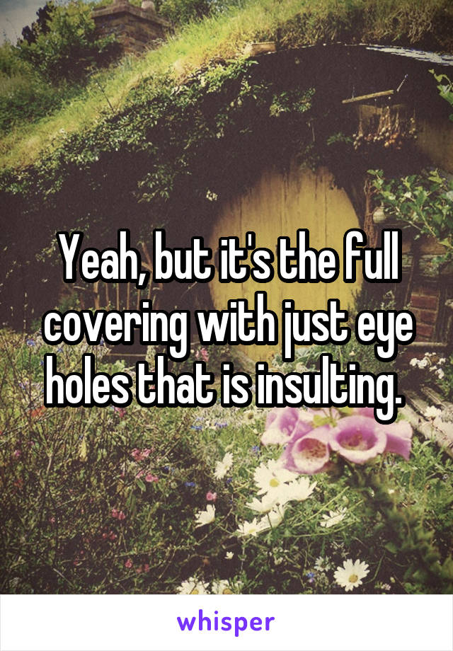 Yeah, but it's the full covering with just eye holes that is insulting. 