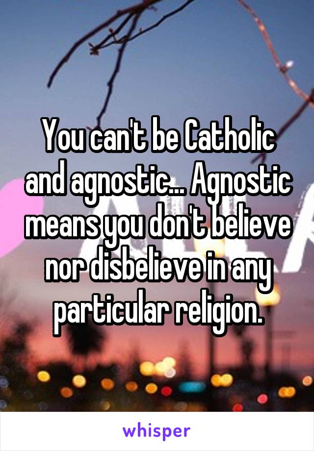 You can't be Catholic and agnostic... Agnostic means you don't believe nor disbelieve in any particular religion.