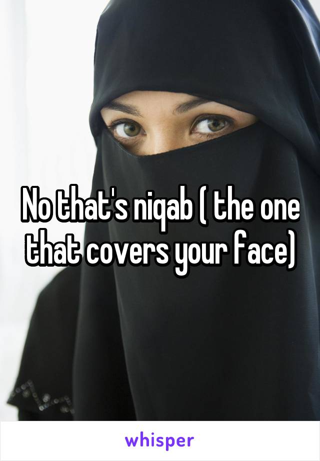 No that's niqab ( the one that covers your face)