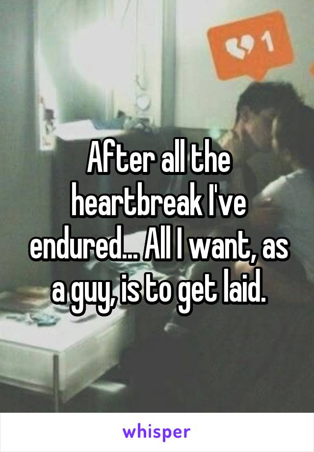 After all the heartbreak I've endured... All I want, as a guy, is to get laid.