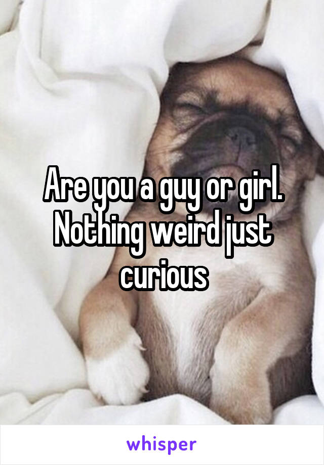 Are you a guy or girl. Nothing weird just curious