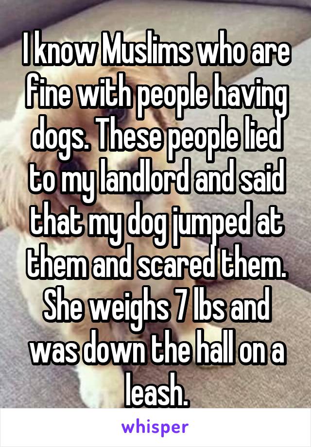 I know Muslims who are fine with people having dogs. These people lied to my landlord and said that my dog jumped at them and scared them. She weighs 7 lbs and was down the hall on a leash.