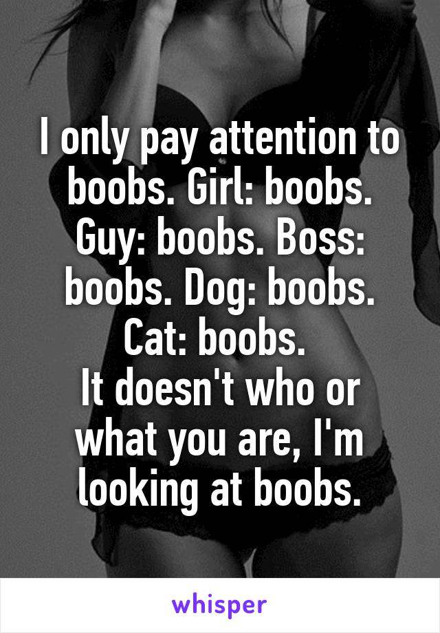 I only pay attention to boobs. Girl: boobs. Guy: boobs. Boss: boobs. Dog: boobs. Cat: boobs. 
It doesn't who or what you are, I'm looking at boobs.