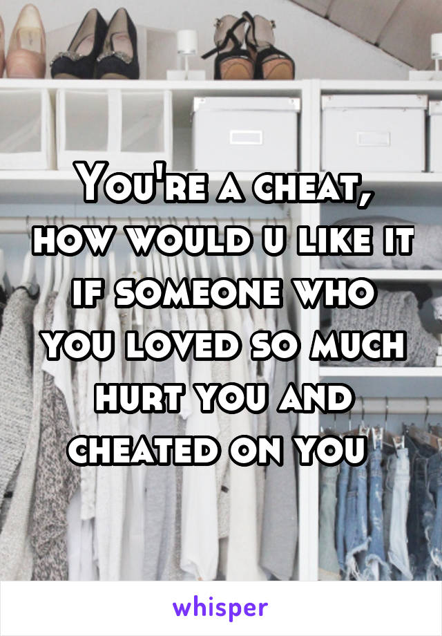 You're a cheat, how would u like it if someone who you loved so much hurt you and cheated on you 