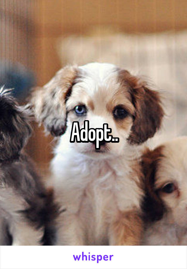 Adopt..