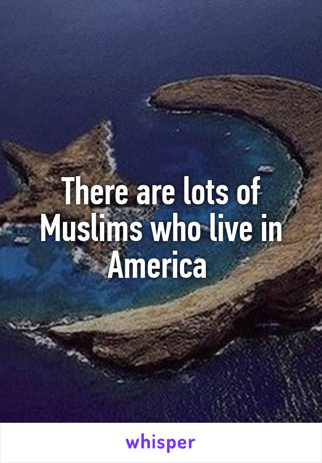 There are lots of Muslims who live in America 