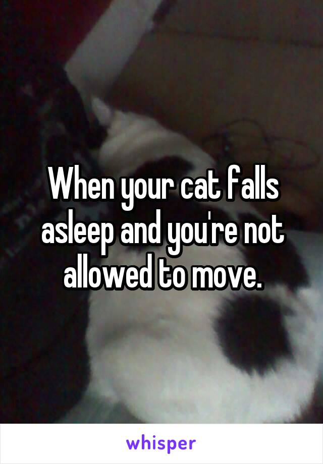 When your cat falls asleep and you're not allowed to move.