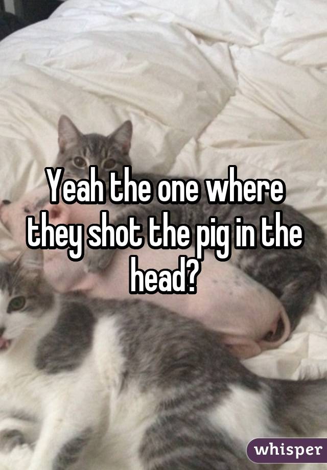 Yeah the one where they shot the pig in the head?