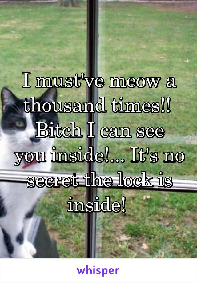 I must've meow a thousand times!! 
Bitch I can see you inside!... It's no secret the lock is inside! 