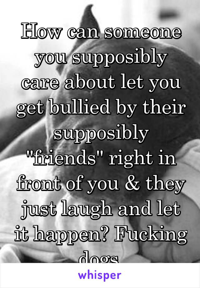 How can someone you supposibly care about let you get bullied by their supposibly "friends" right in front of you & they just laugh and let it happen? Fucking dogs.