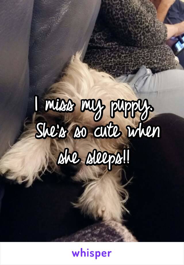 I miss my puppy.
 She's so cute when she sleeps!!