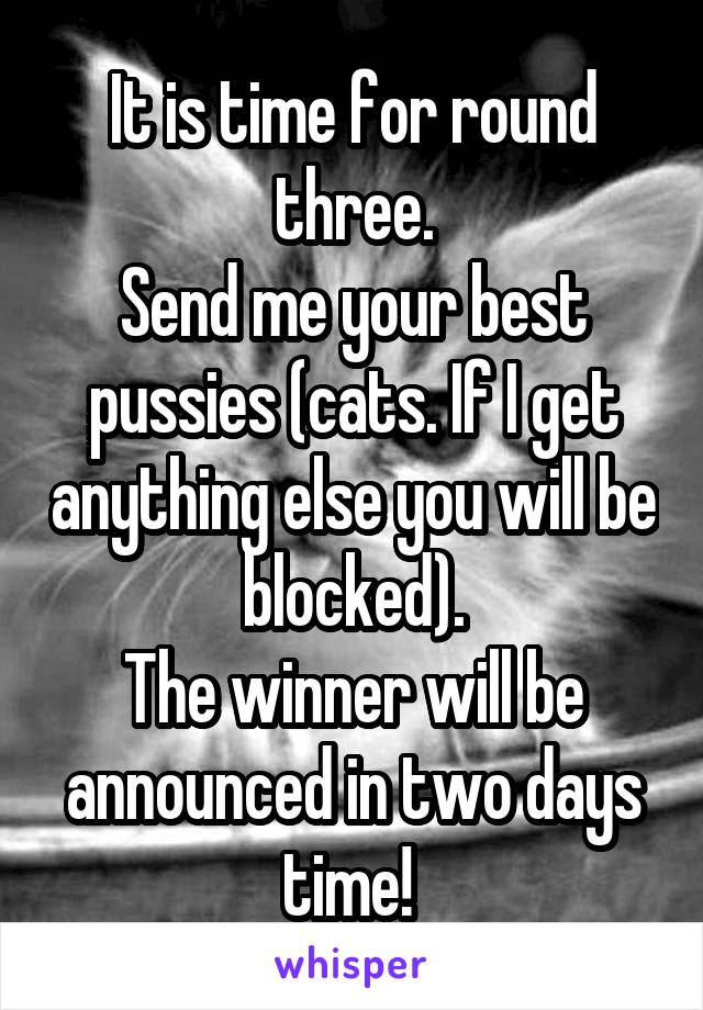 It is time for round three.
Send me your best pussies (cats. If I get anything else you will be blocked).
The winner will be announced in two days time! 